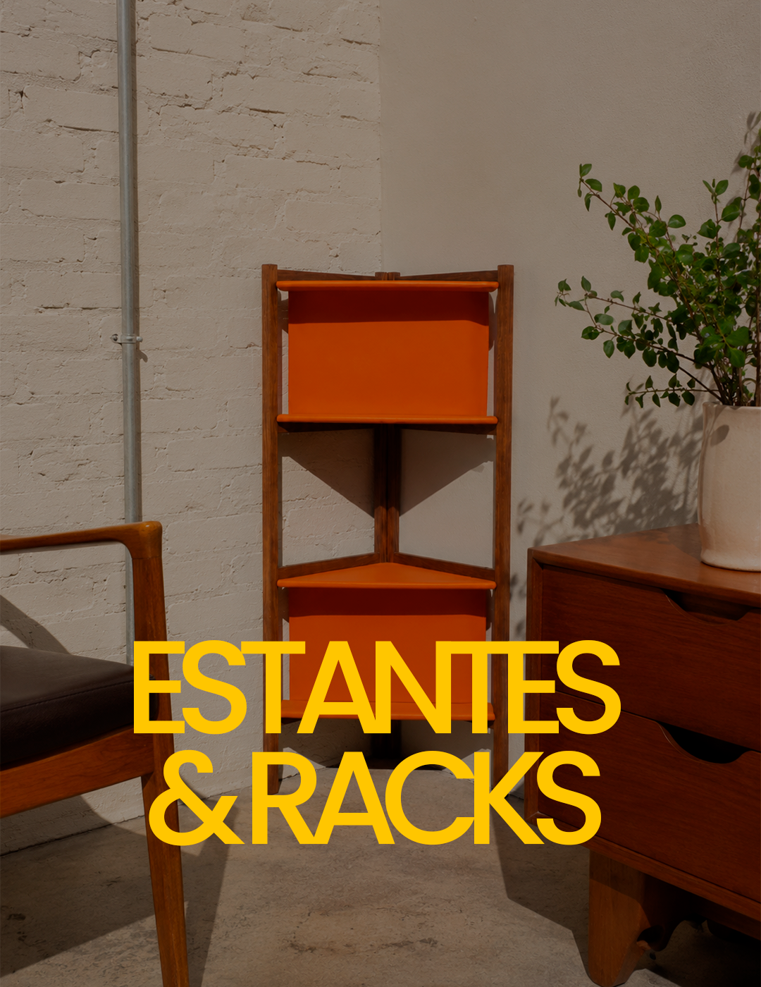 ESTANTES E RACKS